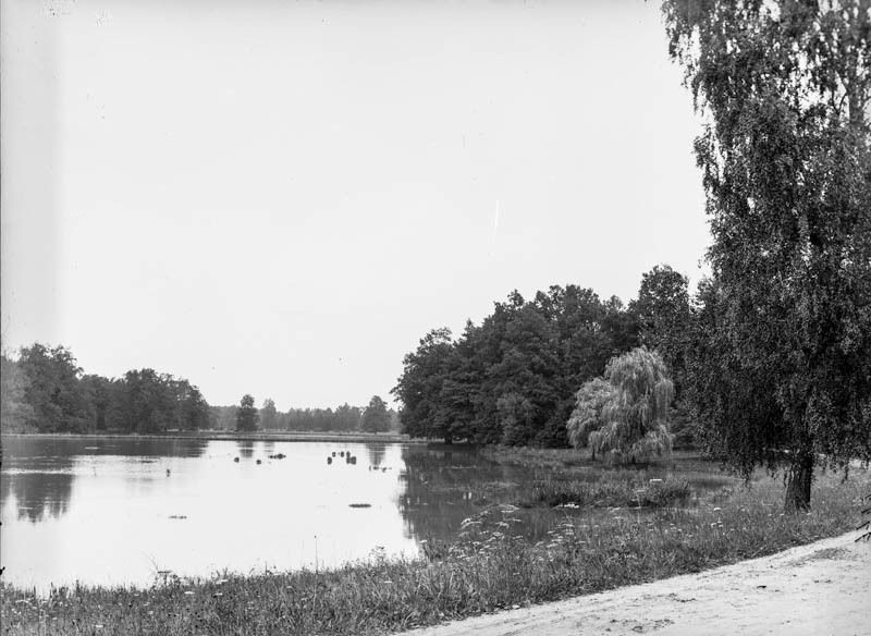 Moszna