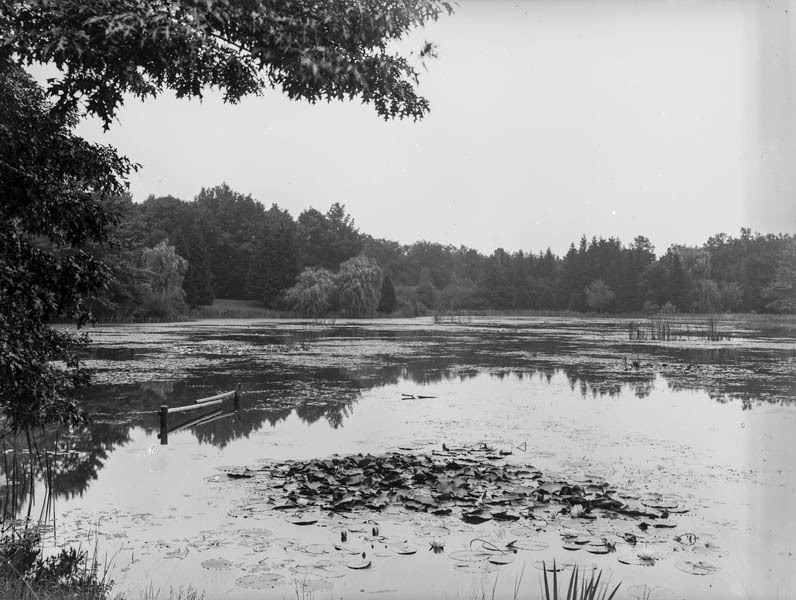 Moszna