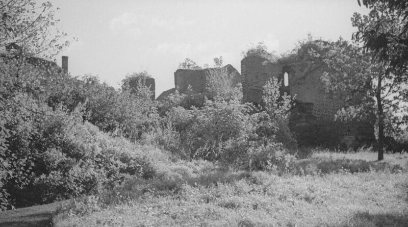 Zamek w Pokrzywnie
