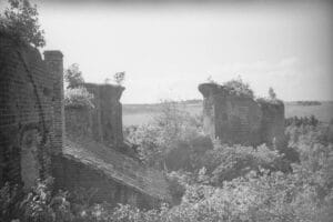 Pokrzywno