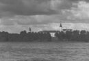 Zamek w Nieświeżu